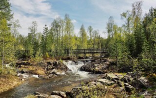 Hiking in Swedish Lapland: Abisko National Park, the Kungsleden, Wood Fired Saunas, and More - Frayed Passport