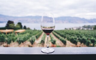 8 Great American Vineyards All Wine Lovers Should Visit - Frayed Passport