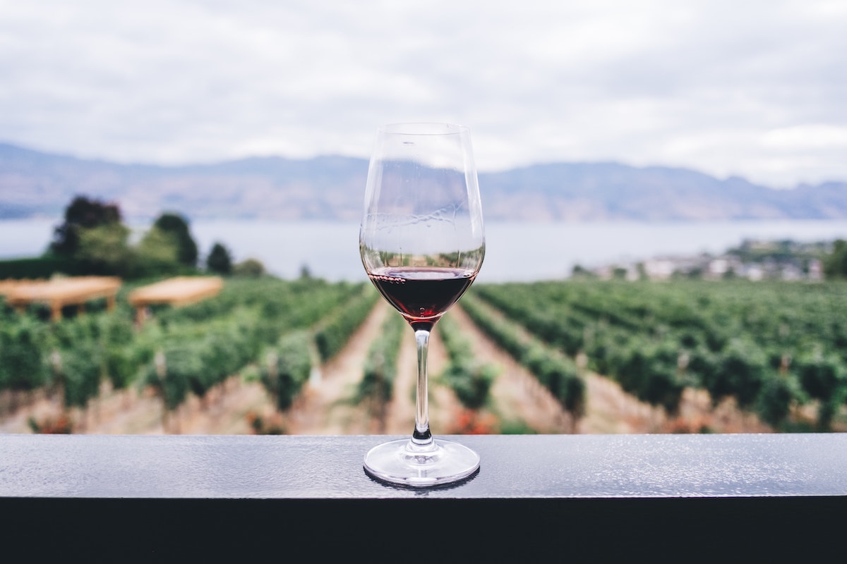 8 Great American Vineyards All Wine Lovers Should Visit - Frayed Passport