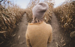 5 Best Corn Mazes in the USA: Maine, New Jersey, Florida & Beyond - Frayed Passport