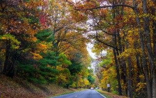 10 Best Fall Road Trip Ideas for Couples: Wine Country, Autumn Leaves & More - Frayed Passport
