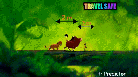 20 Best Travel GIFs and Memes to Get You Ready for Adventure