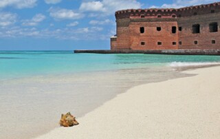 Visiting Key West? Snorkel at the Dry Tortugas National Park! - Frayed Passport