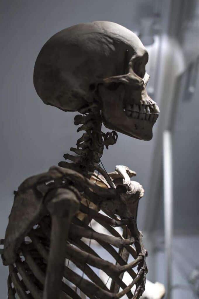 What is Dark Tourism? Ethics and Morbid Destinations - Mutter Museum - Frayed Passport