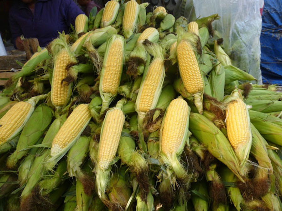 Why Millionaires are Flocking to Mexico - Piles of corn in food market, Patzquaro, Mexico - Frayed Passport