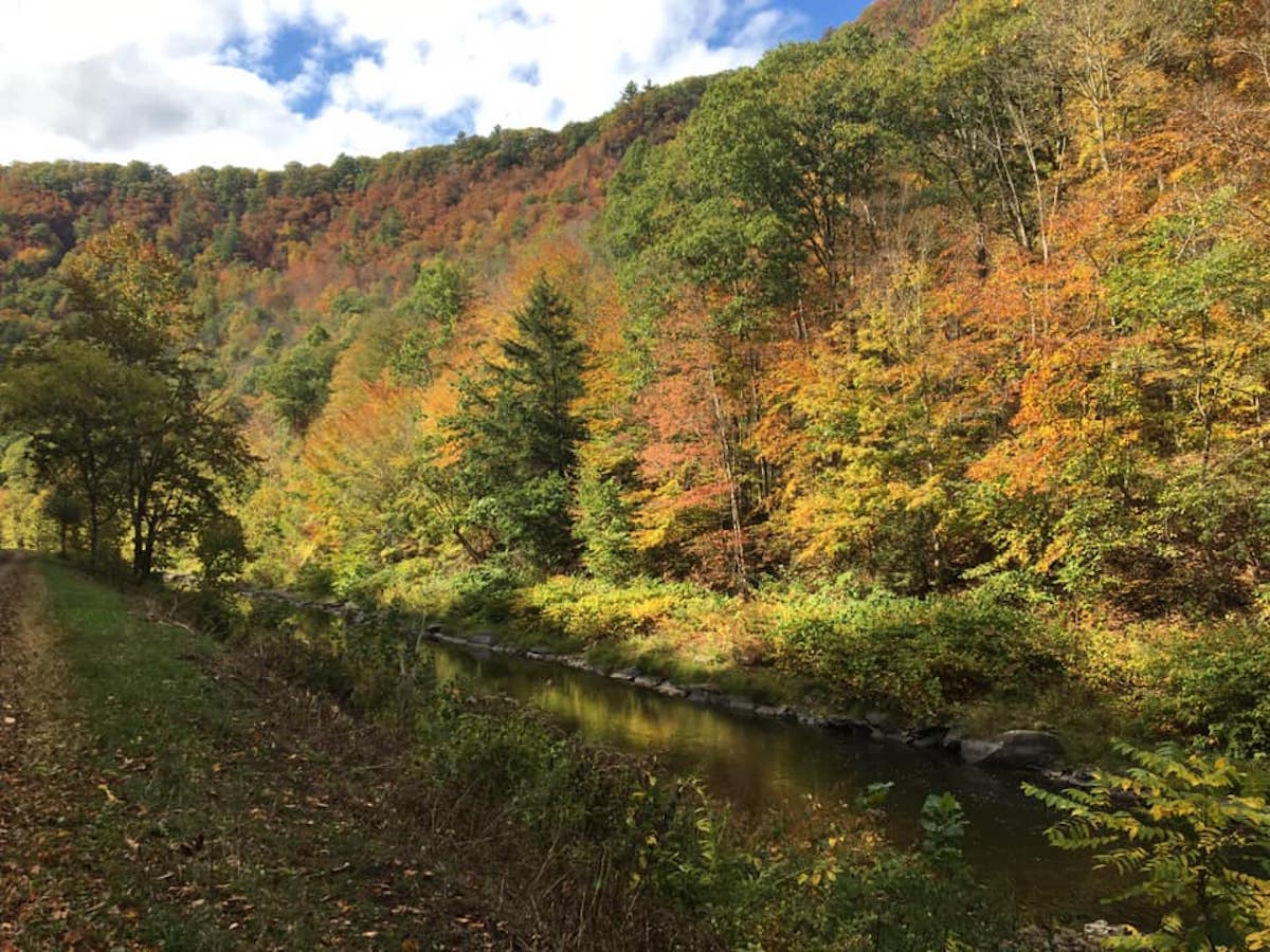 62 Miles of Biking Heaven: Pennsylvania’s Pine Creek Rail Trail - Frayed Passport