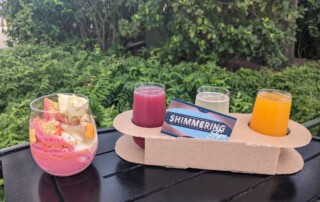 The EPCOT Food & Wine Festival 2022: Drinking Around the World and Emile's Fromage Montage - Frayed Passport
