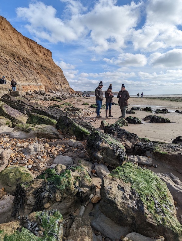 A Day on Dinosaur Island! Finding Fossils on the Isle of Wight - Frayed Passport