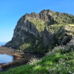 Jeju Island: A Treasure Trove of Hidden Beaches and Unspoiled Nature - Frayed Passport