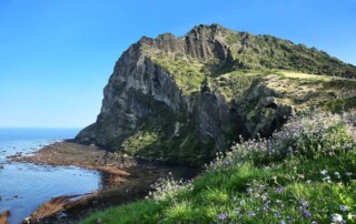 Jeju Island: A Treasure Trove of Hidden Beaches and Unspoiled Nature - Frayed Passport