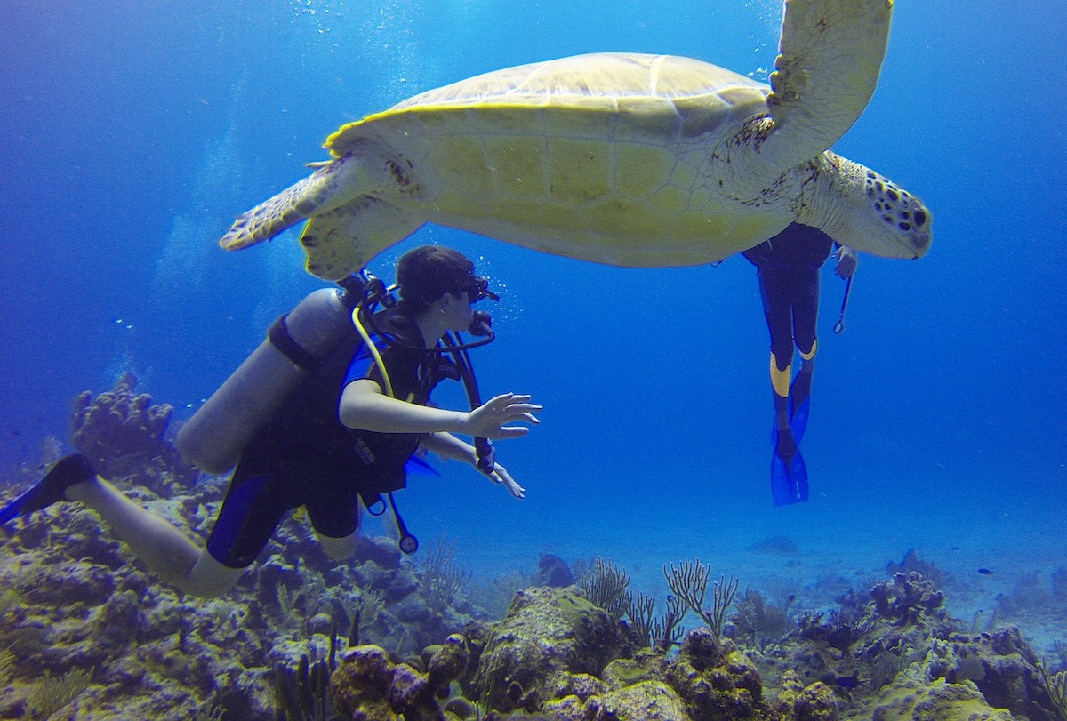 Mayan Riviera Scuba Diving: Unforgettable Underwater Adventures - Frayed Passport