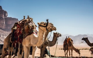 Wadi Rum: Exploring the Enchanting Desert Wilderness of Jordan - Frayed Passport