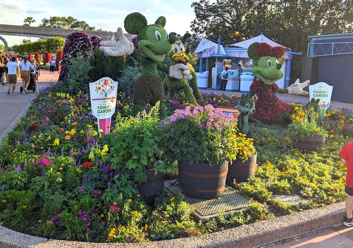 EPCOT International Flower & Garden Festival 2023: Flowers, Butterflies & Food! - Mickey and Minnie Topiaries