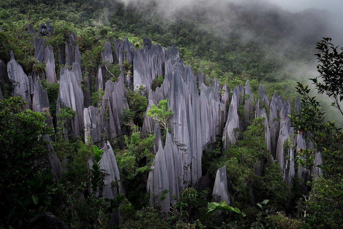 Gunung Mulu National Park in Borneo: Exploring Caves, Mount Mulu & More - Mountain Peaks - Frayed Passport