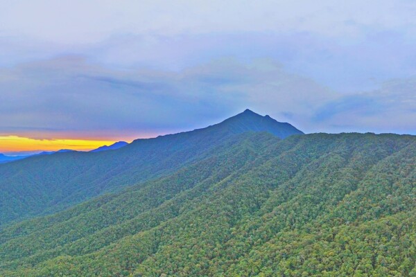 Gunung Mulu National Park in Borneo: Exploring Caves, Mount Mulu & More