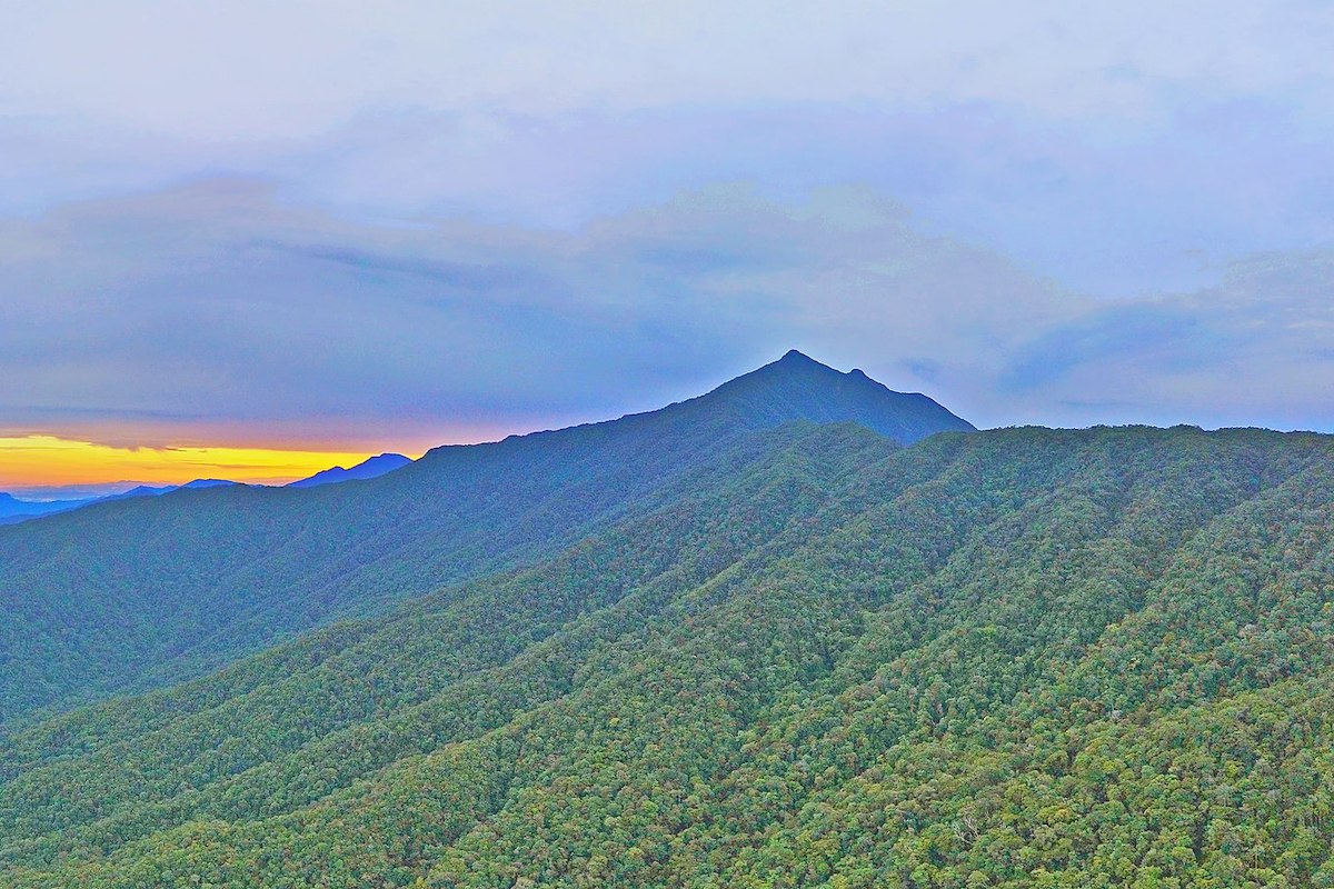 Gunung Mulu National Park in Borneo: Exploring Caves, Mount Mulu & More - Mount Mulu - Frayed Passport