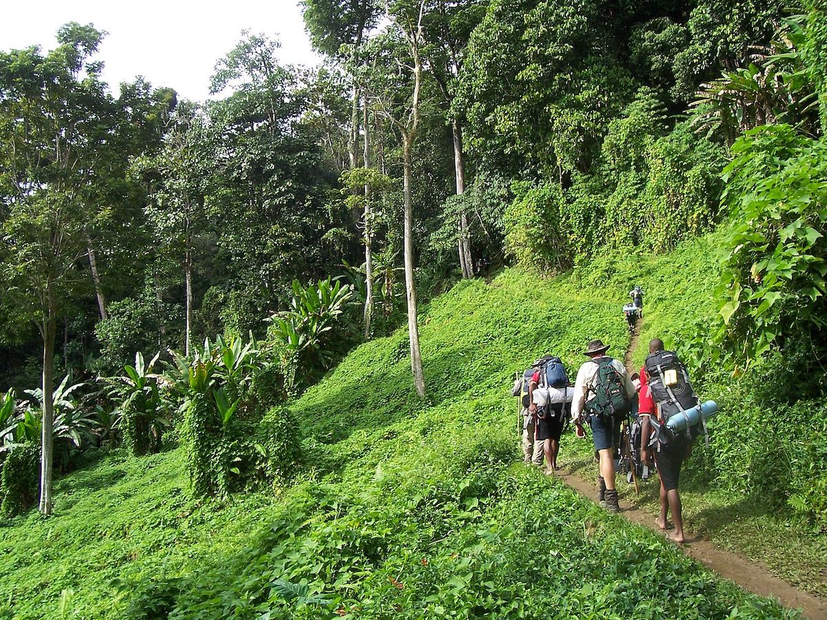 The Kokoda Track of Papua New Guinea: History, Points of Interest & Trekking - Group of Hikers - Frayed Passport