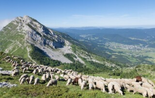 Best Things to See & Do in the Auvergne Region of France: Hiking, Culture, Culinary Adventures - Frayed Passport