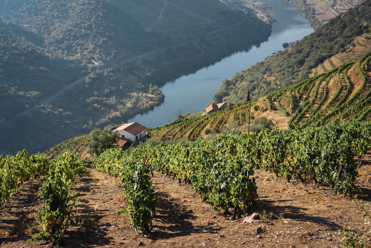 Savor the Flavors of the World: Exploring 6 Leading Wine Regions from Bordeaux to Mendoza & Beyond - Douro Valley, Portugal - Frayed Passport