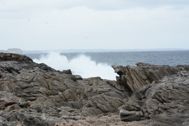 Kangaroo Island: Australia's Zoo Without Fences