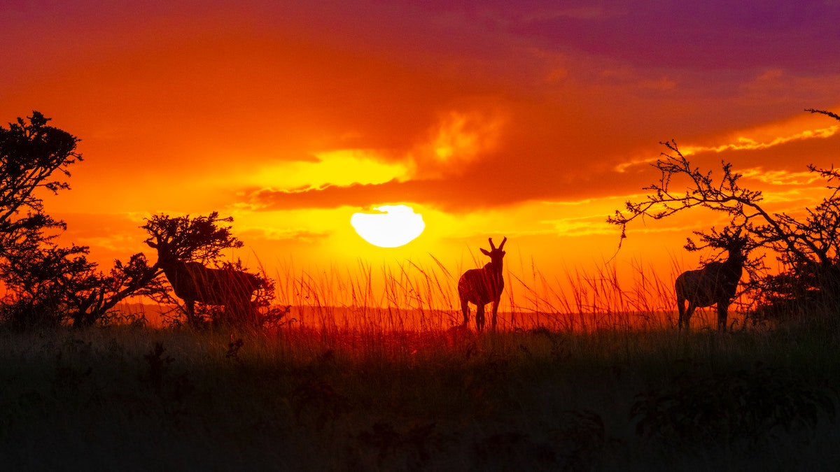 Maasai Mara - 15 Beautiful Sunsets from Famous Travel Spots - Frayed Passport