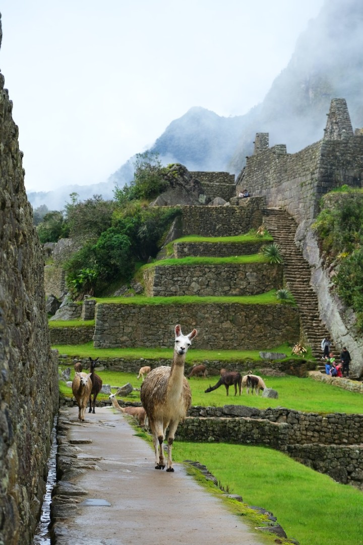 Best Sights Not to Miss in Cusco Peru - Machu Picchu - Frayed Passport