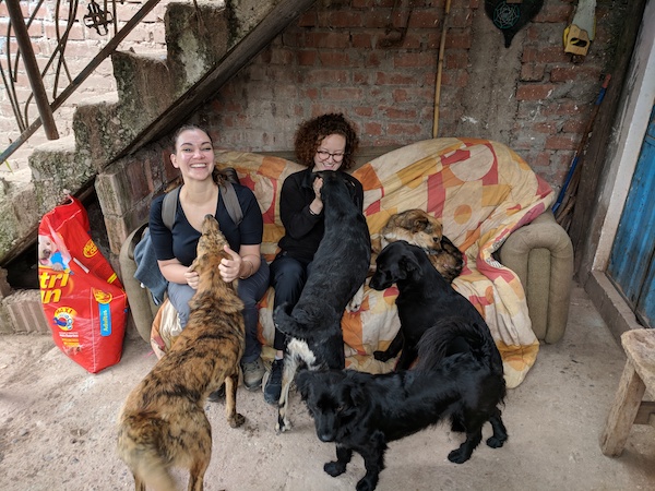 Adopting a dog internationally: Meet Mimi from Peru! - Frayed Passport - Meeting Mimi and other dogs at a shelter in Cusco Peru - Frayed Passport