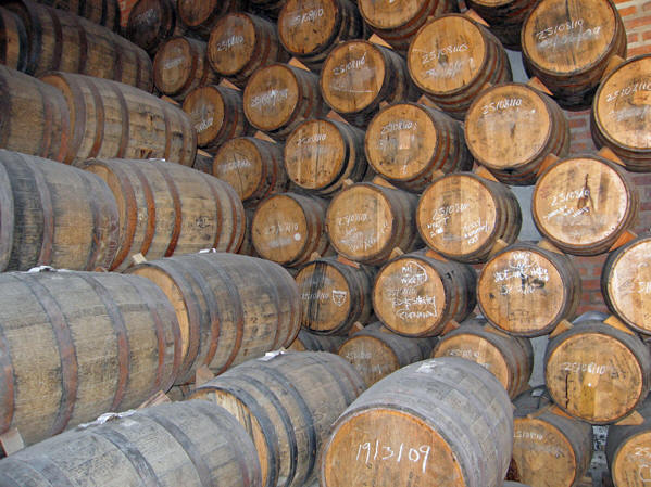 Tequila aging in American white oak barrels - tequila drinking guide - Frayed Passport