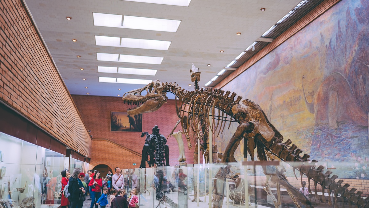 Feeling Nostalgic? These Camps for Adults Let You Live Your Childhood Dreams! - Paleontology Volunteering - Frayed Passport