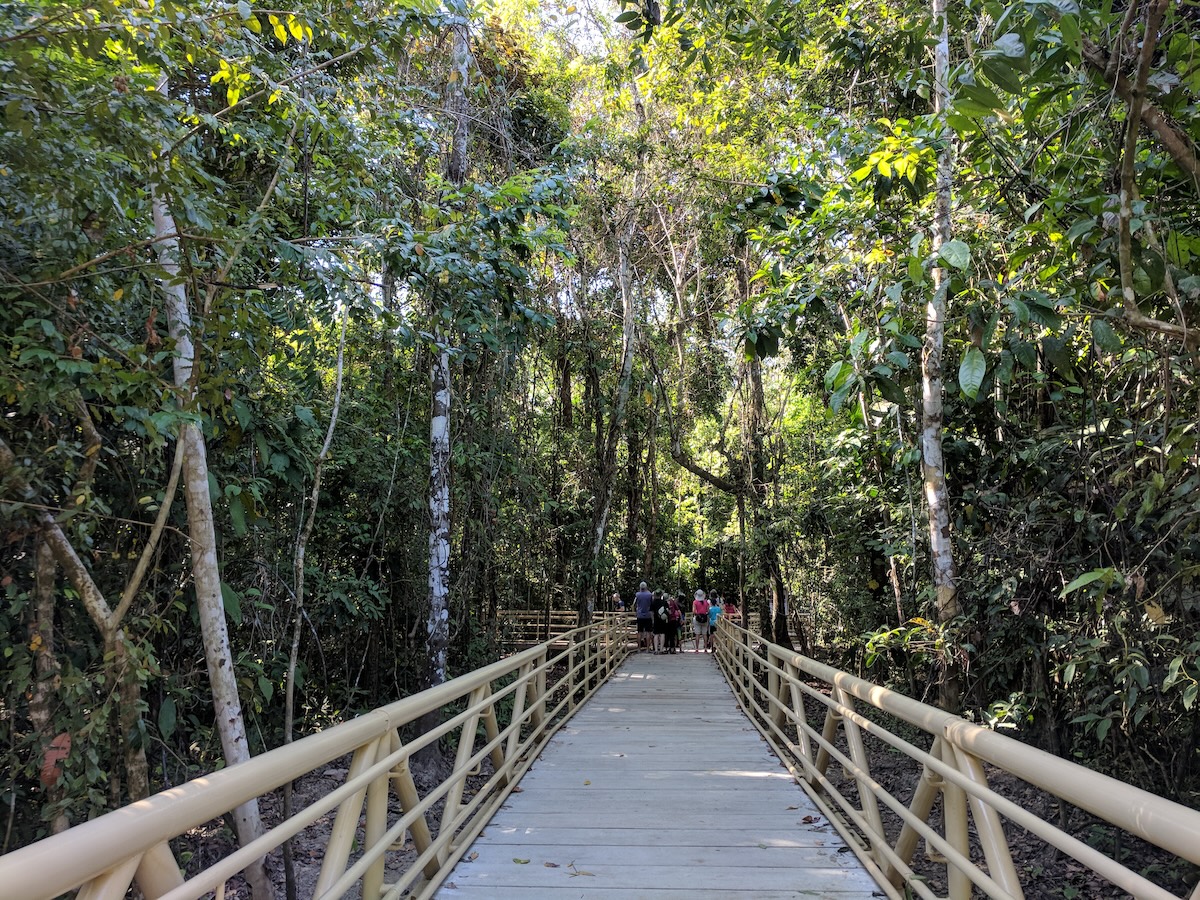 Traveling Costa Rica on a Budget: 5 Tips to Help You Save, Not Spend - Manuel Antonio National Park - Frayed Passport