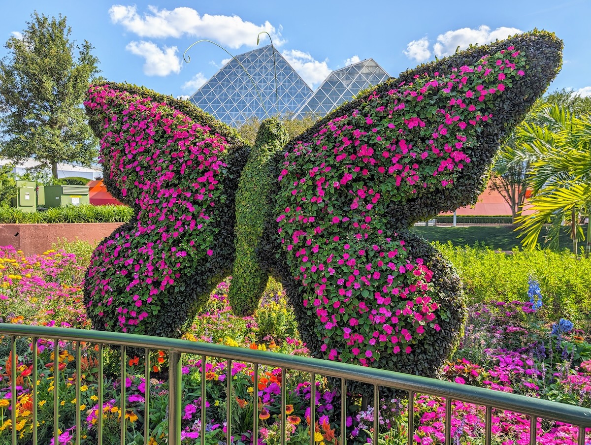 EPCOT International Flower & Garden Festival 2024: Bonsai, Butterflies & Tons of Fun - Butterfly Topiary - Frayed Passport