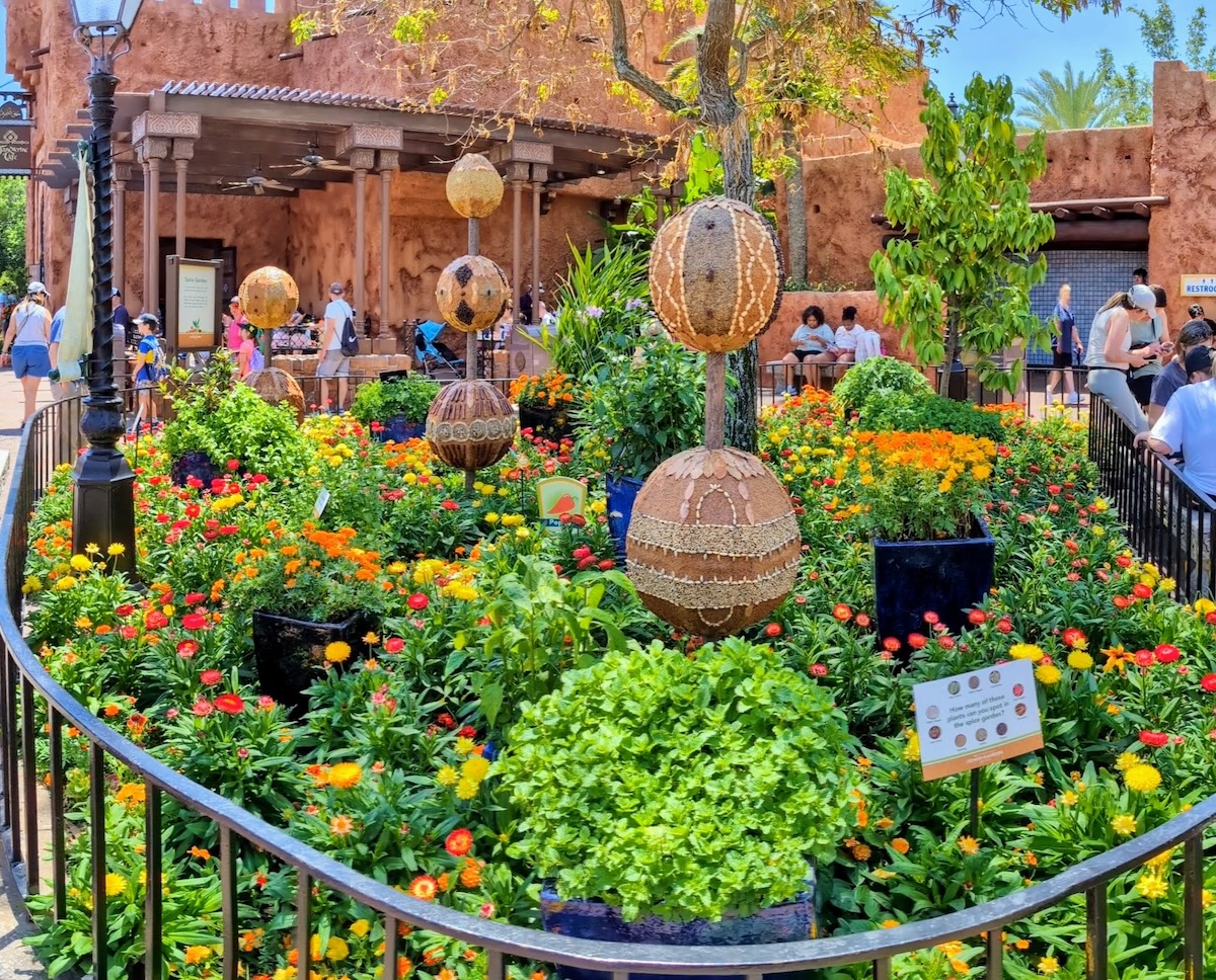 EPCOT International Flower & Garden Festival 2024: Bonsai, Butterflies & Tons of Fun - Spice Garden in Morocco - Frayed Passport