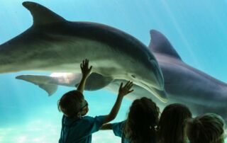 Family Fun in Abu Dhabi: 6 of the Best Theme Parks and Cultural Attractions - Frayed Passport