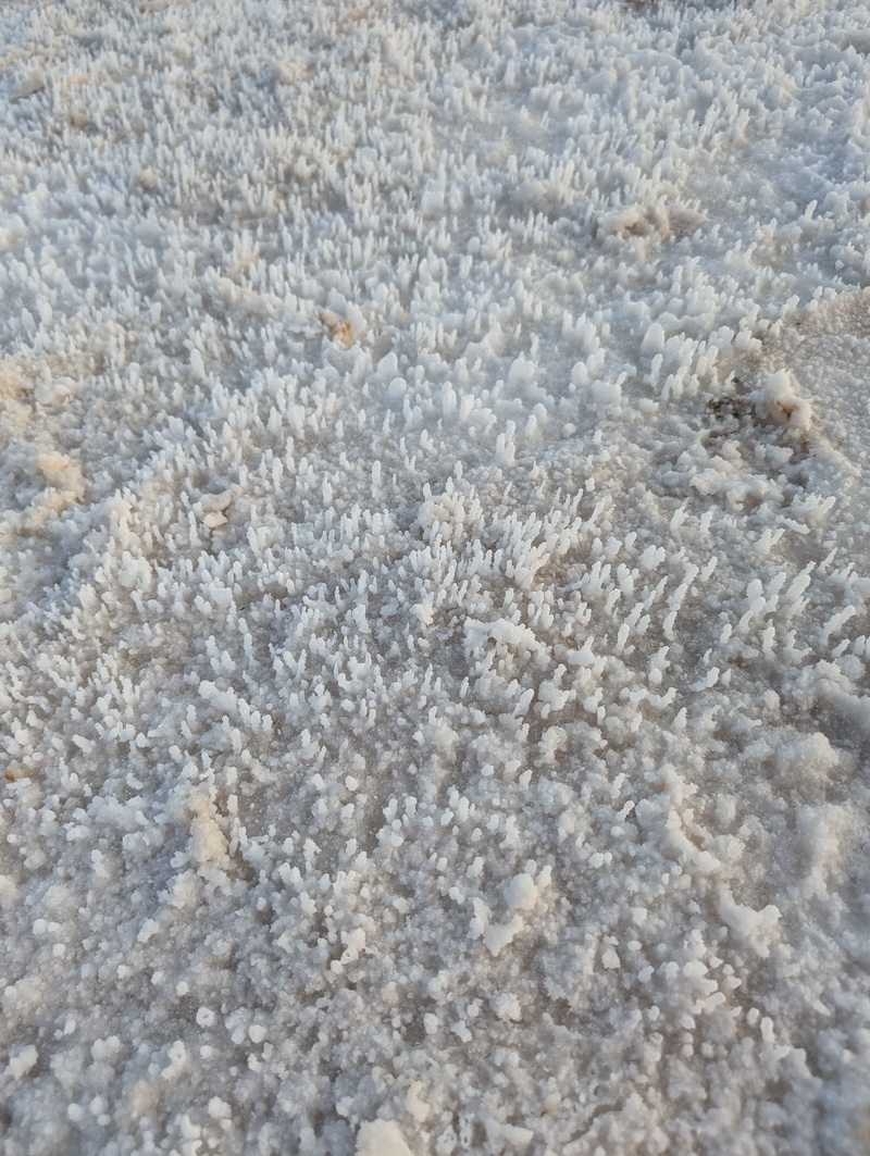 Salt Formations at Badwater Basin - Can You Visit Death Valley National Park in the Summer? We Did! - Frayed Passport