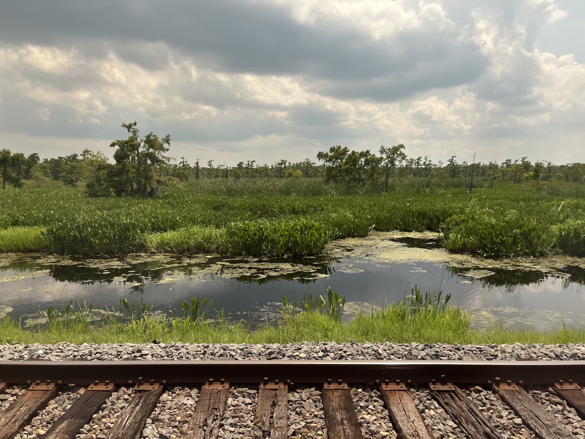 Riding Amtrak's City of New Orleans: 3100 Miles to DC, Chicago & the Big Easy - Bayou - Frayed Passport