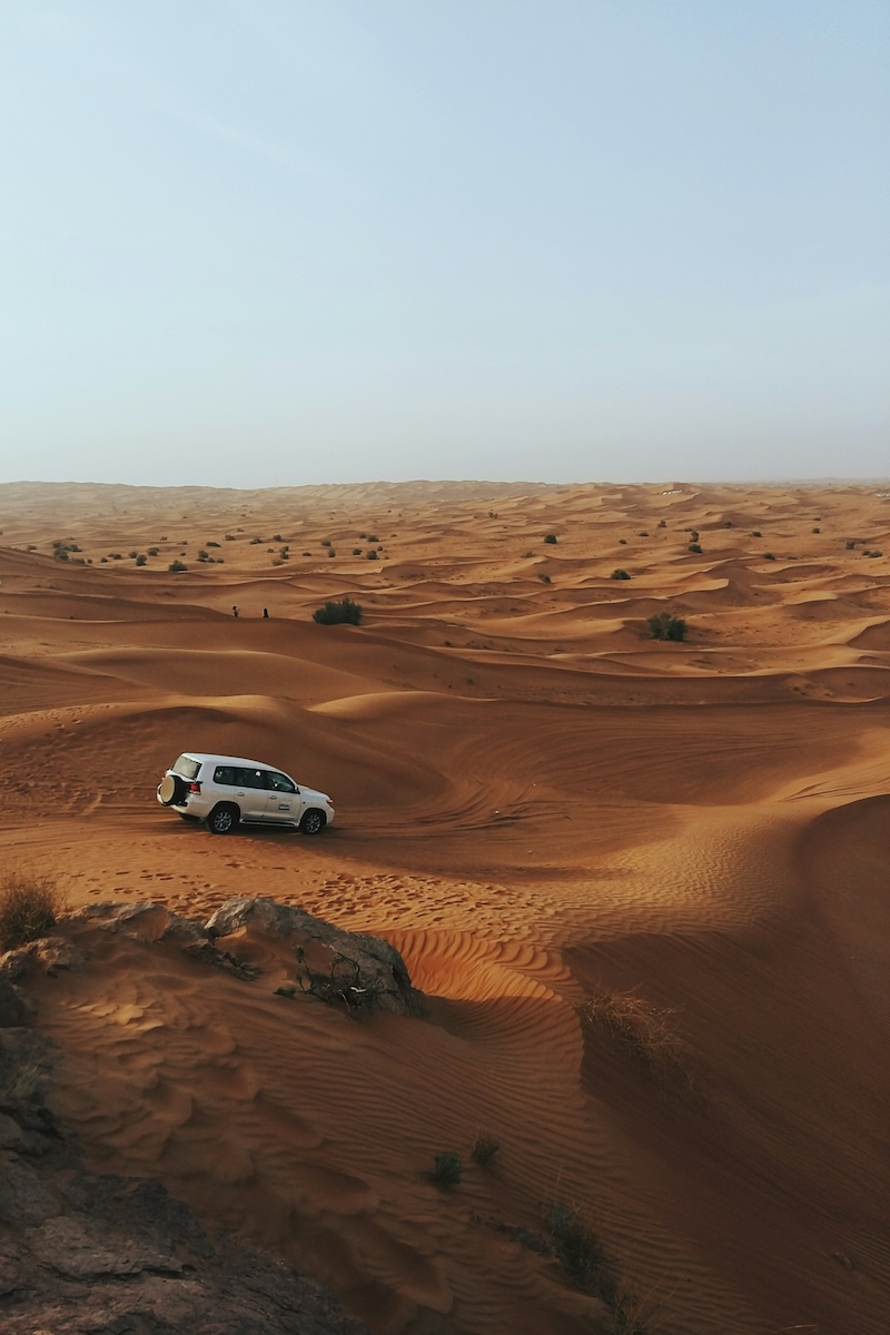 Sampling the Best of the UAE: 5 Highlights You Can't Miss - See the Sweeping Dunes - Frayed Passport