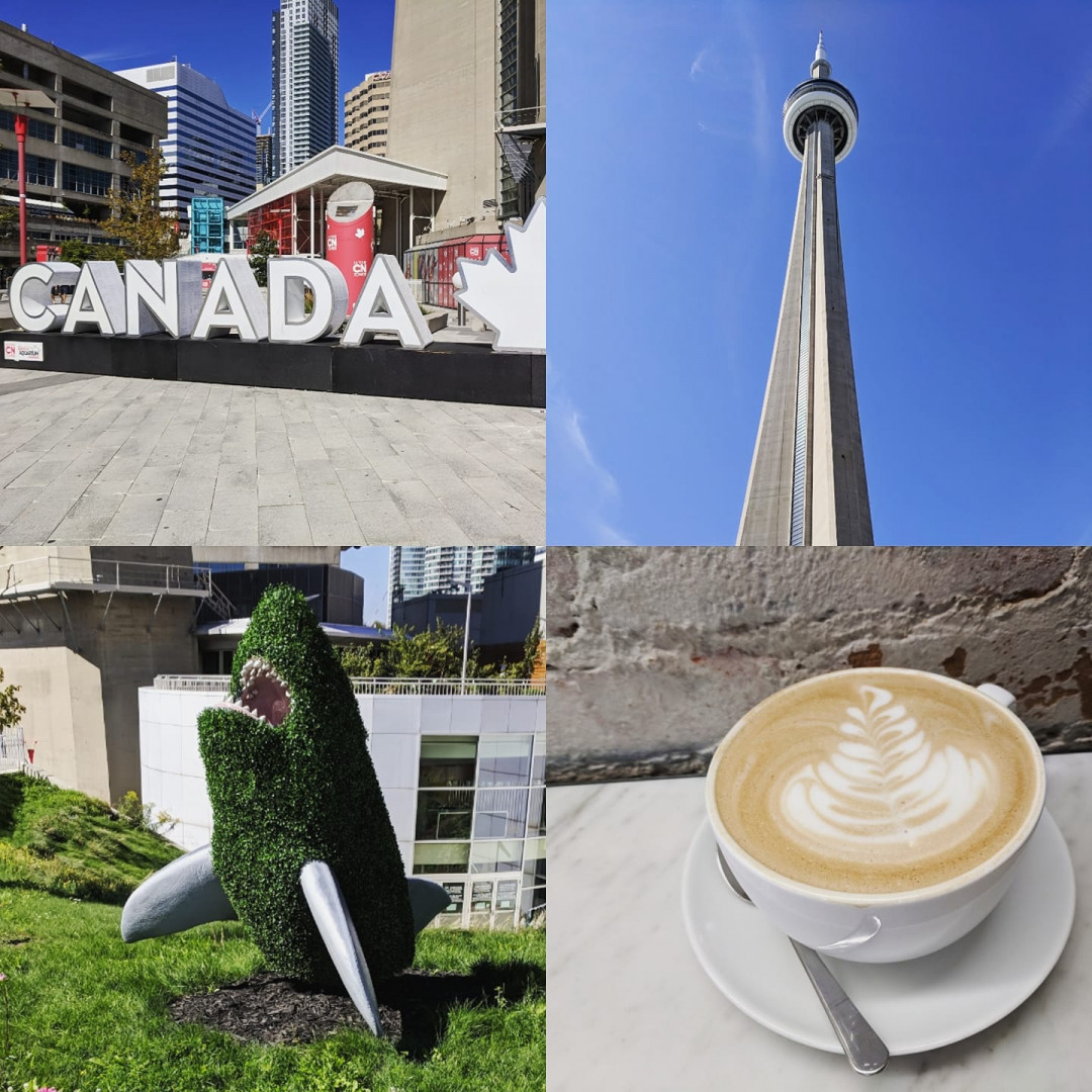 16 Best Ways to Turn a Layover into an Adventure - Toronto Collage - Frayed Passport