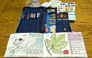 Have You Tried Travel Art Journaling? Here's a Fun Way to Creatively Capture Your Adventures! - Frayed Passport