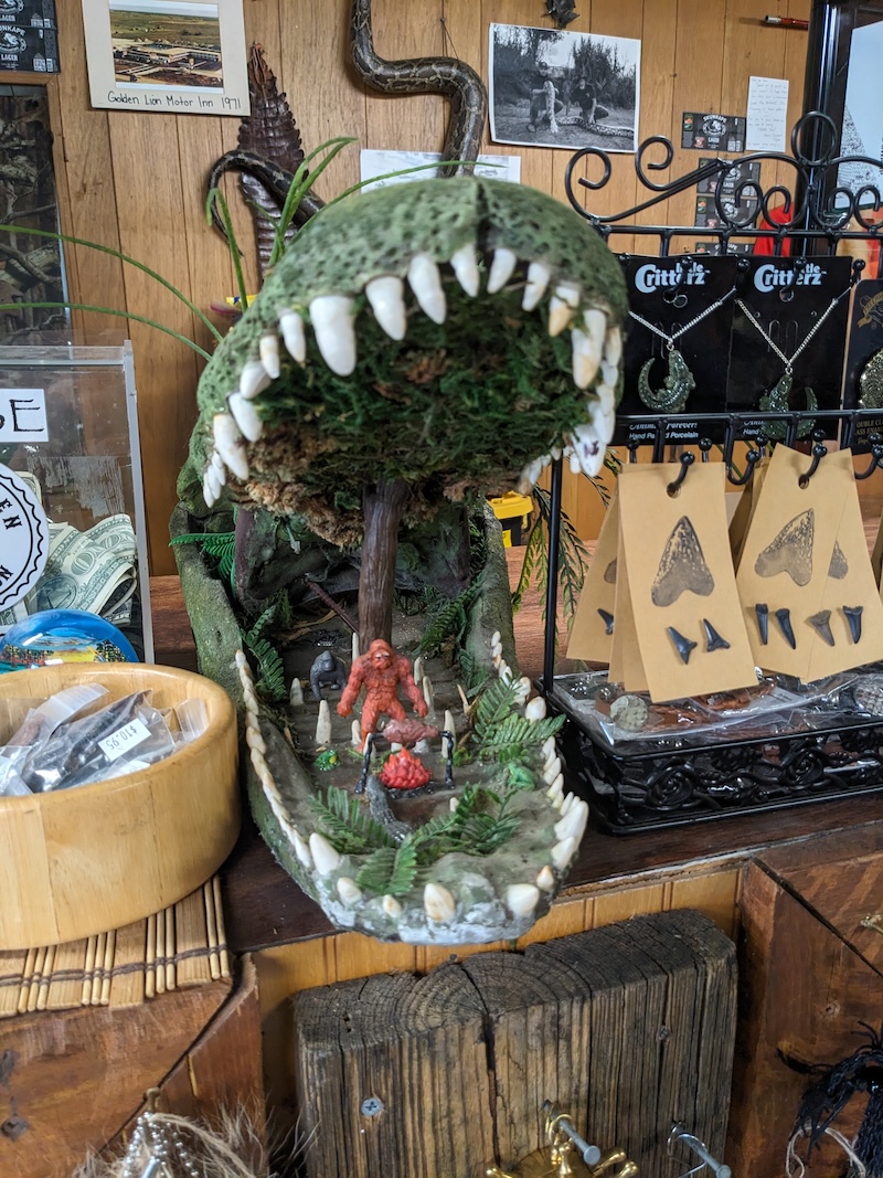 I'd Like To Introduce You To Florida's Favorite Cryptid: The Skunk Ape! - Gator - Frayed Passport