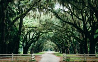 11 Beautiful Southern Gothic Travel Destinations: Savannah, Charleston & More - Frayed Passport