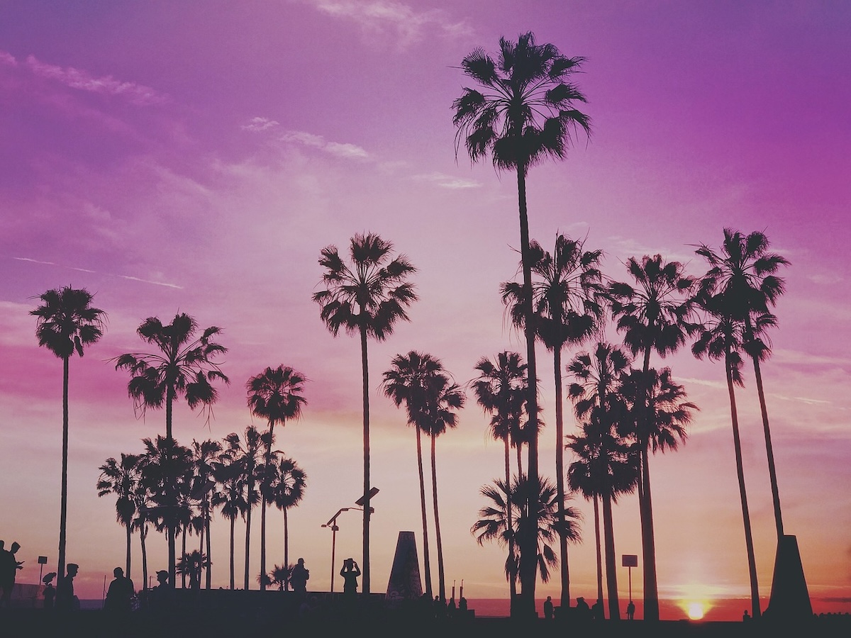 Where Should You Travel Based on Your Favorite Aesthetic? Y2K, Cottagecore, Cyberpunk & More - Frayed Passport - Vaporwave - Miami