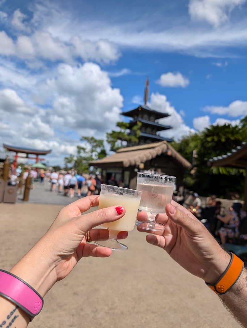 EPCOT Food & Wine Festival 2024: Pickle Milkshakes, Aloe Blacc, and Fireworks - Sake - Frayed Passport