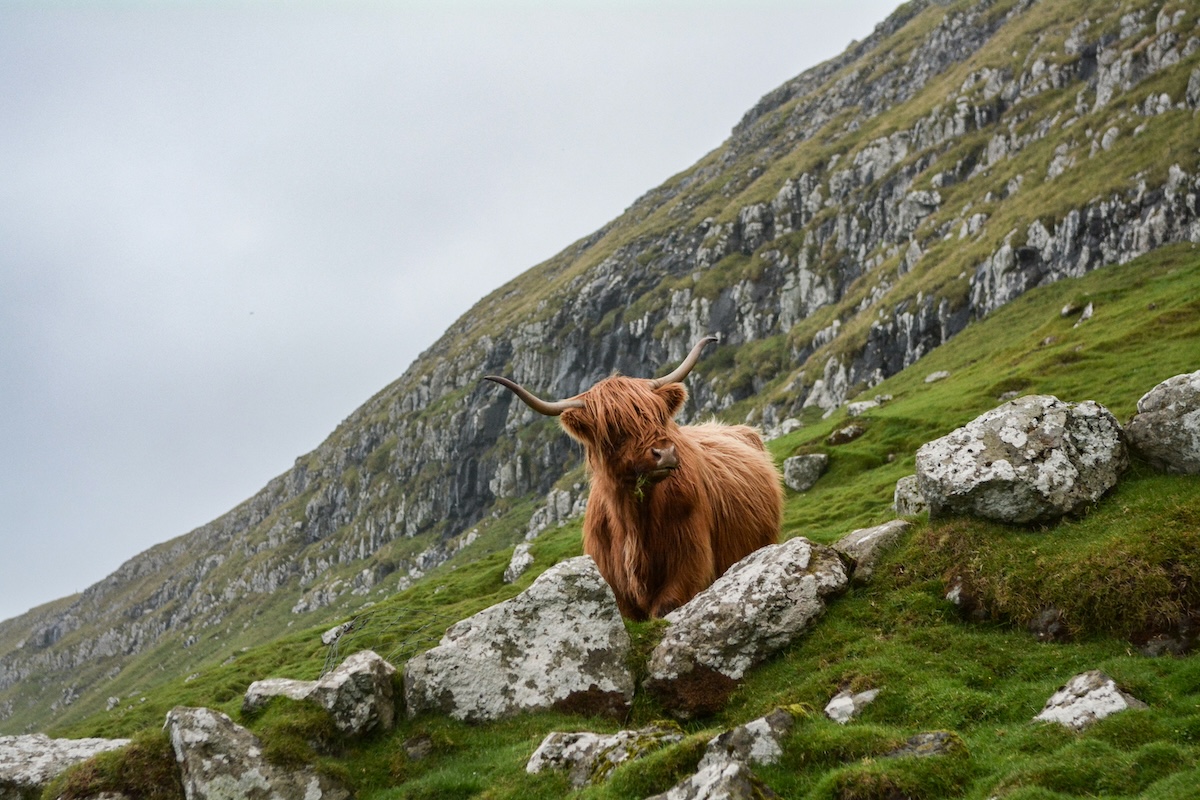 Faroe Islands - Are You an Introvert? Here are 15 Amazing Travel Destinations You'll Love! - Frayed Passport