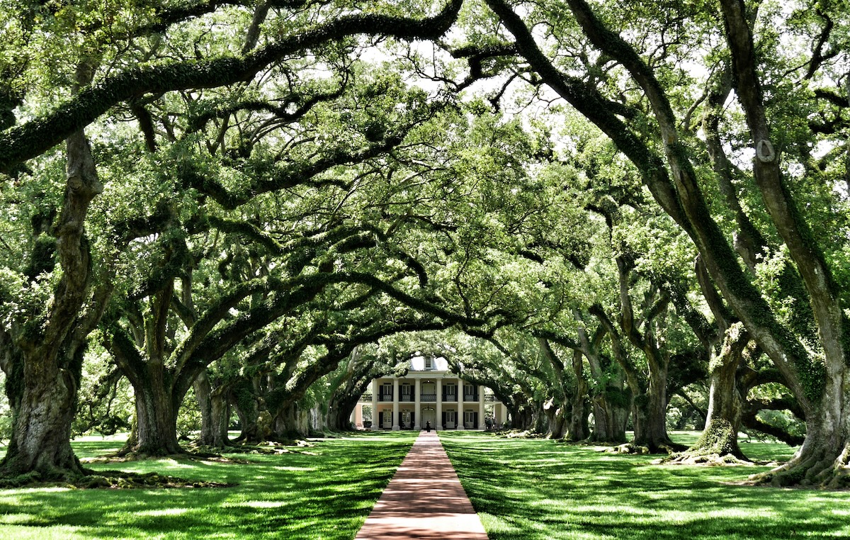 14 Spooky Movie Filming Locations You Can Actually Visit - Oak Alley Plantation, Vacheria, LA - Interview with the Vampire - Frayed Passport