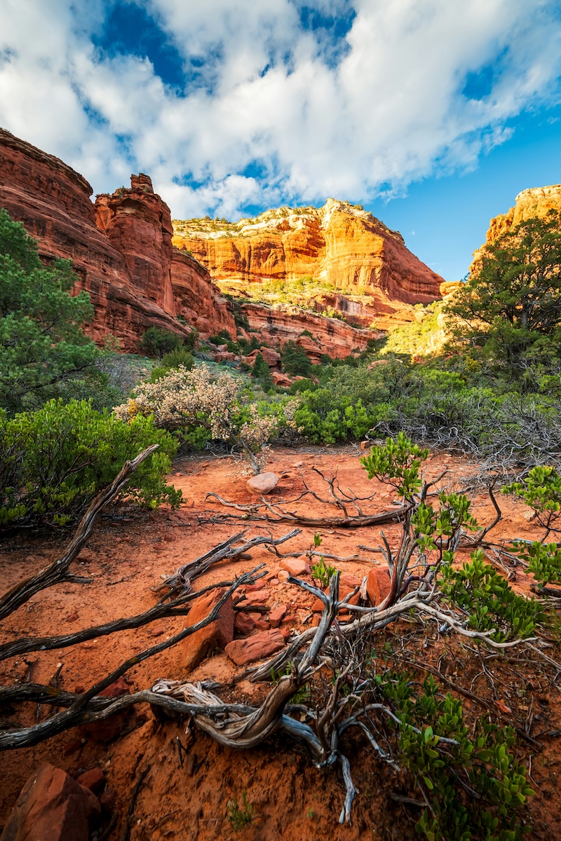 Sedona, Arizona - Are You an Introvert? Here are 15 Amazing Travel Destinations You'll Love! - Frayed Passport