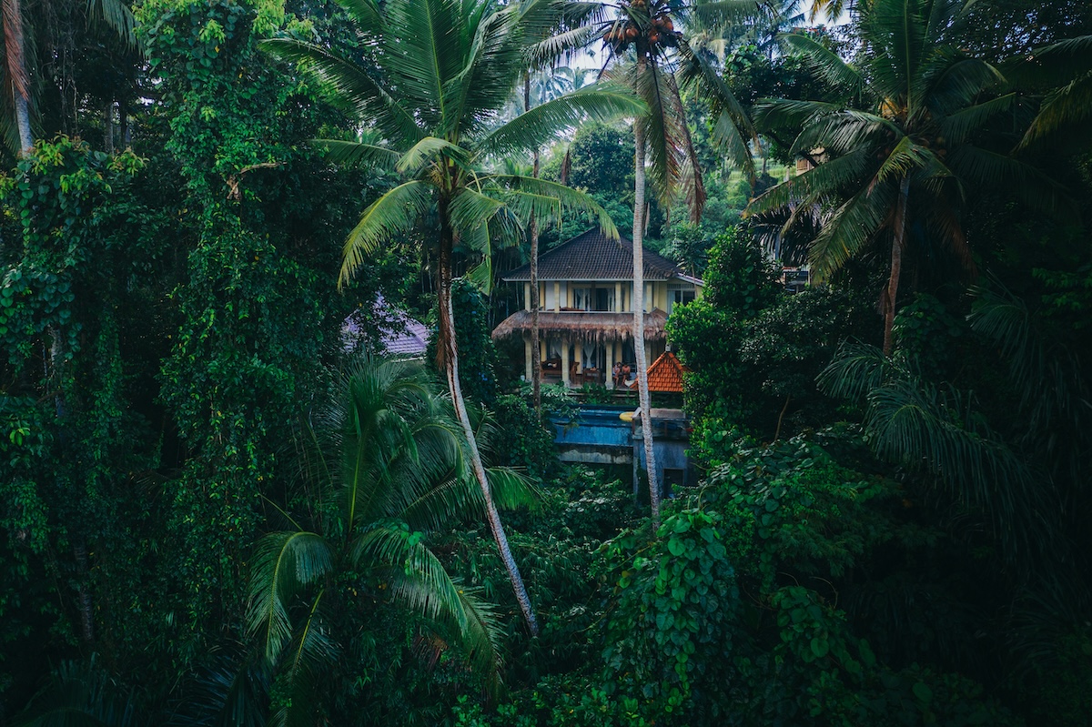 Ubud, Bali, Indonesia - Are You an Introvert? Here are 15 Amazing Travel Destinations You'll Love! - Frayed Passport