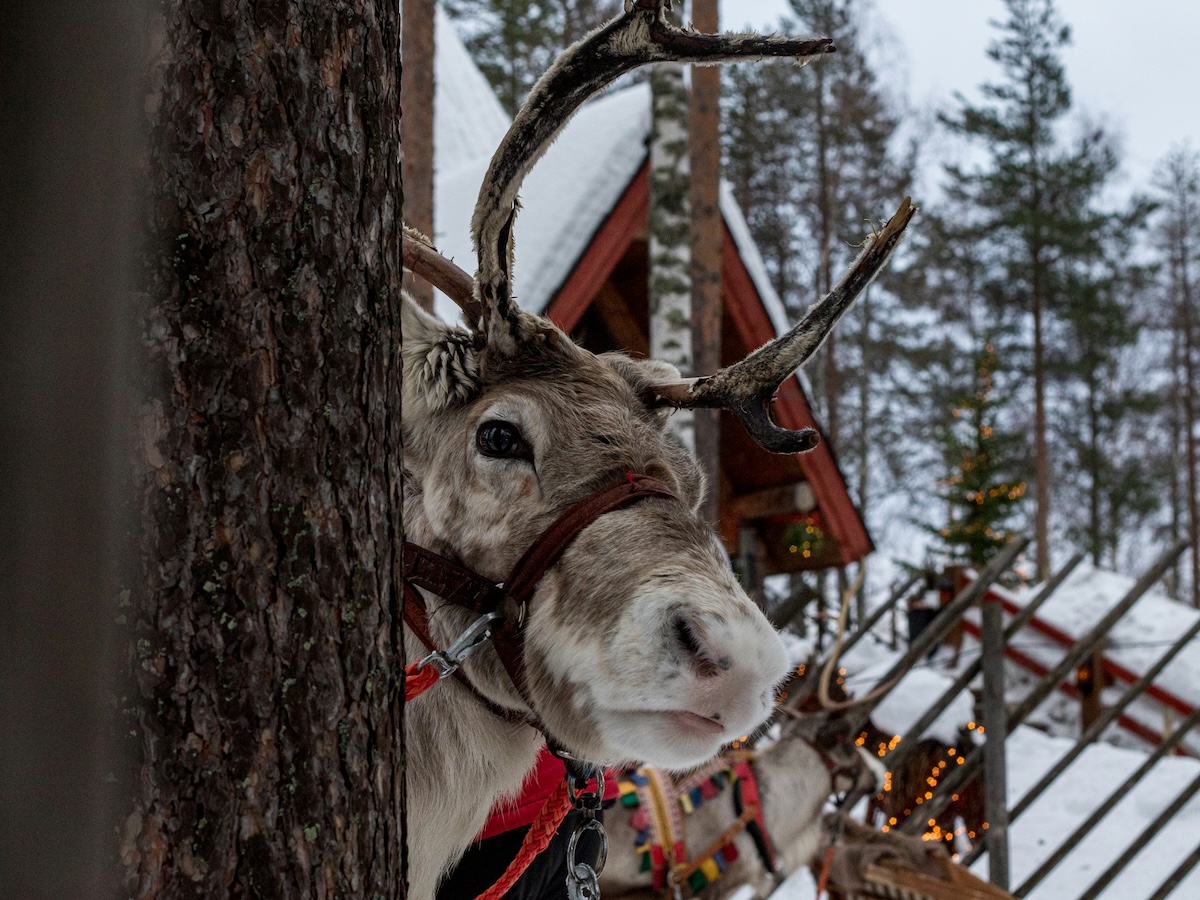 Rovaniemi, Finland - Places Where Time Doesn’t Exist: 8 Cities Experiencing Endless Daylight or Darkness - Frayed Passport