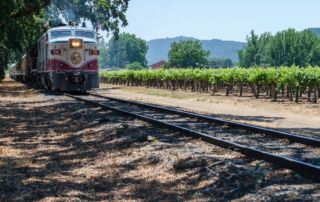 A Quick Guide To the Napa Valley Wine Train: Sip, Savor, and Ride in Style - Frayed Passport