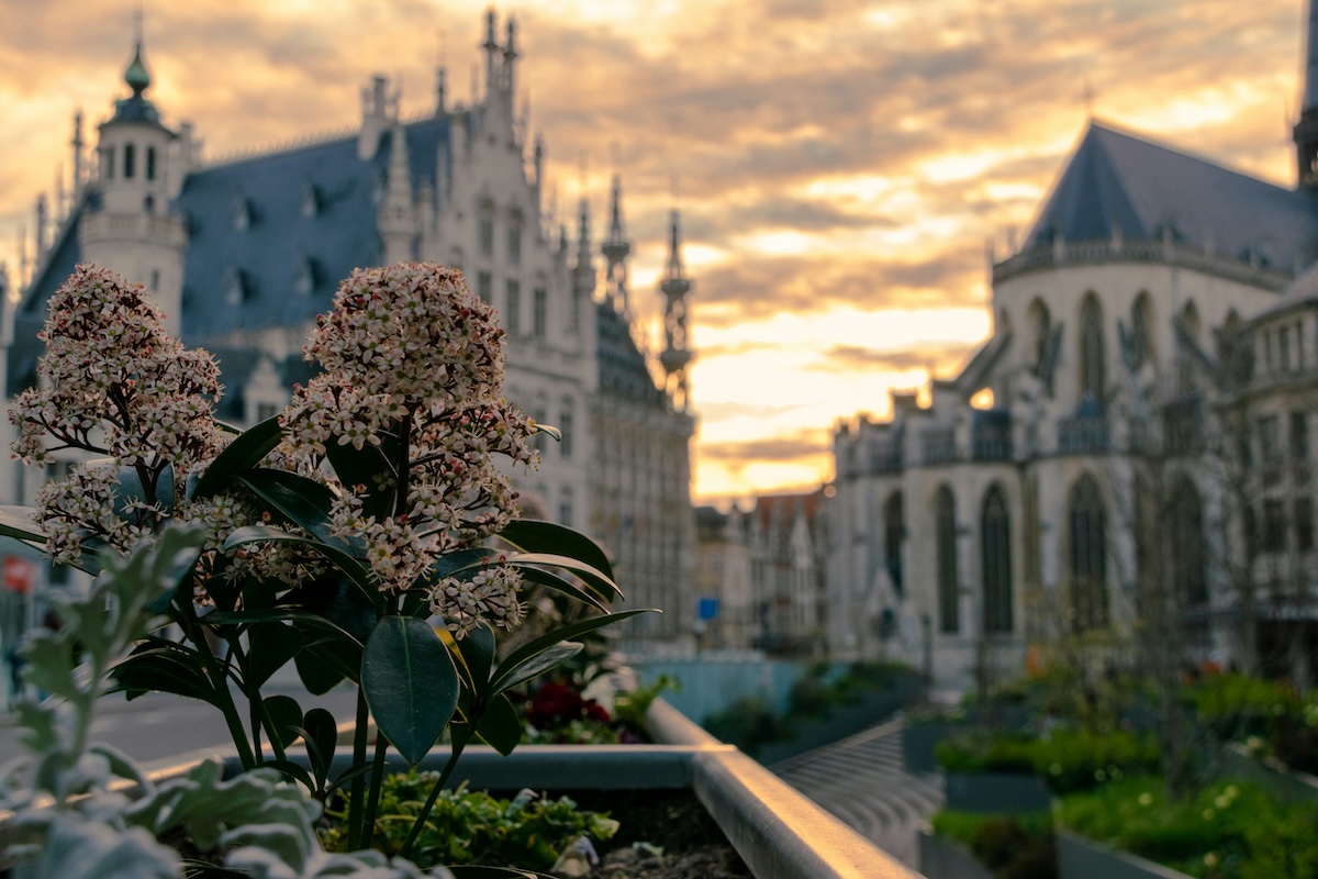 Leuven, Belgium - 11 Must-Visit Destinations for Travelers Who Love Dark Academia - Frayed Passport