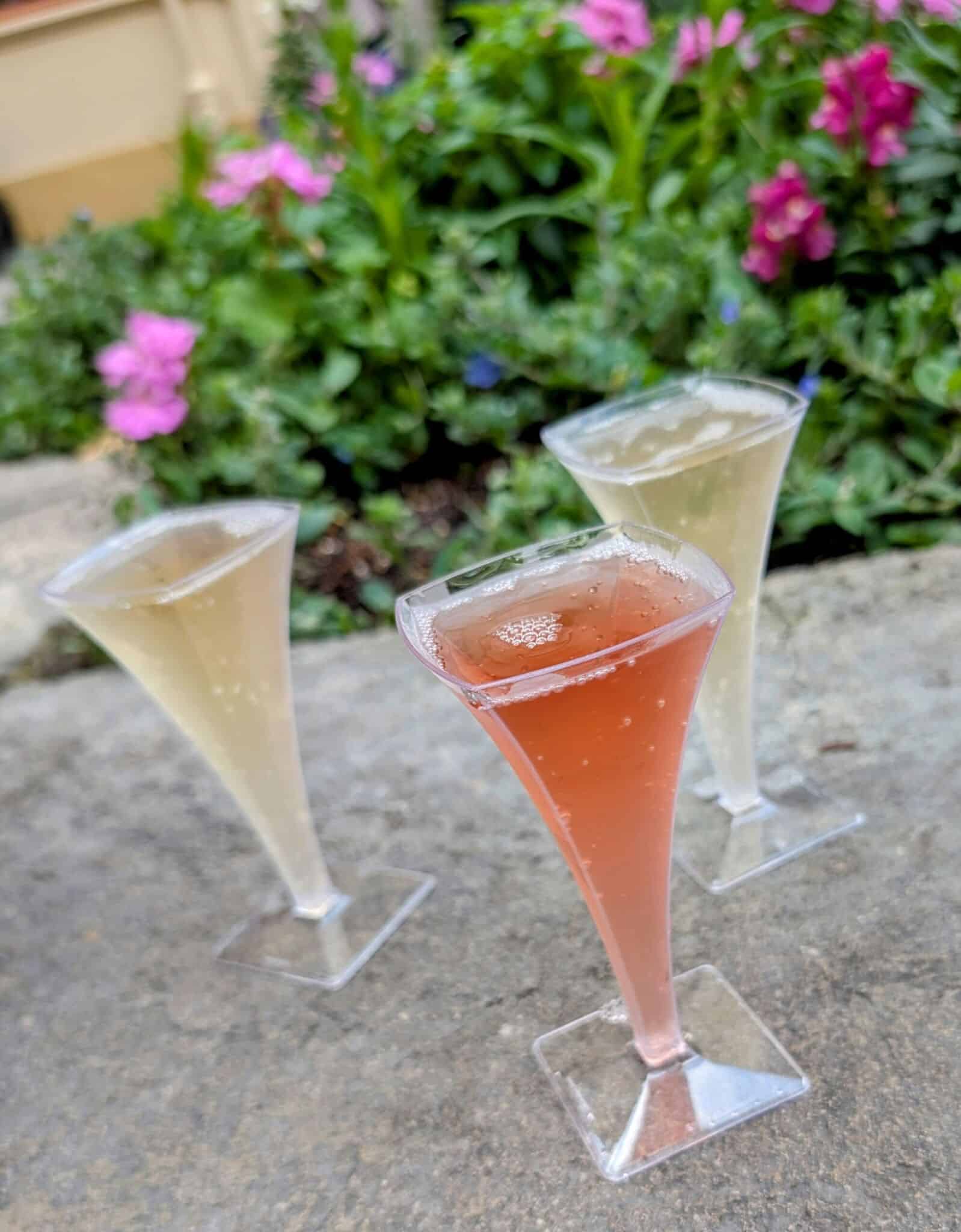 Champagne Flight - EPCOT International Flower & Garden Festival 2025: Topiaries, Bonsai, and Incredible Eats! - Frayed Passport